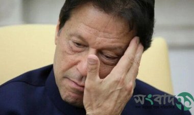 Politicians are being sold like 'goats' to bring down the government: Imran Khan